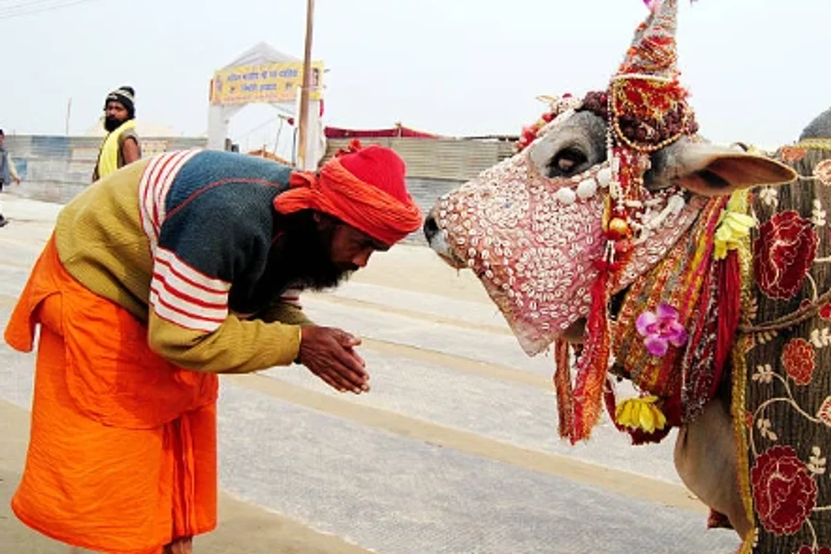 ހިންދޫއިން ކަލާނގެ ކަމަށް ގަބޫލުކުރާ ގެރިއެއް ތަރާވީހް ނަމާދު އަޑުއަހަން ކޮންމެ ރެޔަކު މިސްކިތަށް