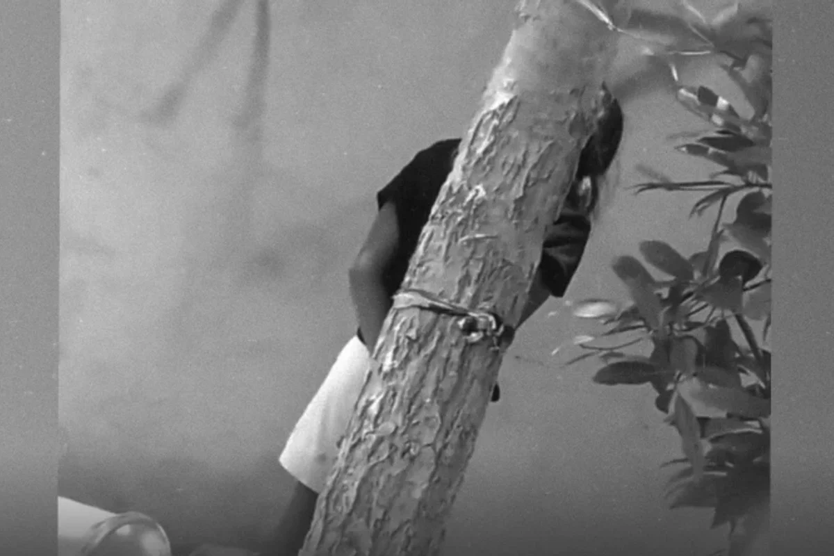 އުތުރުގެ ރަށެއްގައި އަށް އަހަރުގެ ކުއްޖަކު ގަހެއްގައި ބަނދެ އަނިޔާކުރި މައްސަލައެއް ފުލުހުން ބަލަން ފަށައިފި