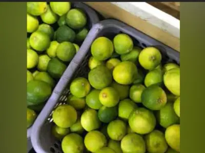 ލުބޯ ކިލޯއެއް 70 ރުފިޔާއަށް މިރުސް ކިލޯއެއް 330 ރުފިޔާ، އަދިވެސް ބުނާނީ އަތްފޯރާ ފަށުގައޭ؟