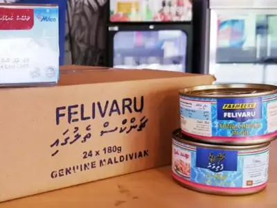 ތެޔޮ މަސްދަޅު މިހާރު ވިއްކަނީ ލިމިޓުކޮށްގެން!