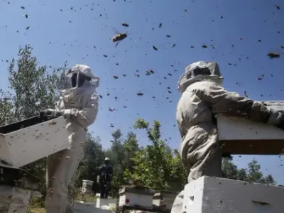 މާބުރާއި ކުޅަނދުރުގެ ތޫފާނެއް އަރައި އިސްރާއީލް ބިރުވެރިކަމެއްގެ ތެރޭގައި