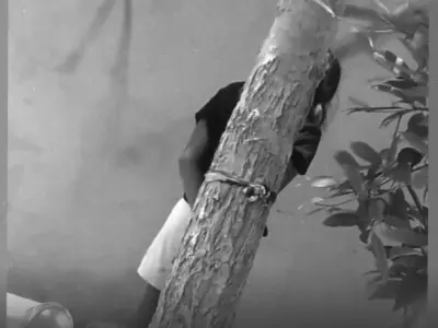 އުތުރުގެ ރަށެއްގައި އަށް އަހަރުގެ ކުއްޖަކު ގަހެއްގައި ބަނދެ އަނިޔާކުރި މައްސަލައެއް ފުލުހުން ބަލަން ފަށައިފި