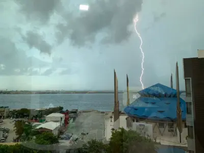 ގުގުރާ ވިދާނެތީ ރައްކާތެރި ފިޔަވަޅު އެޅުމަށް އިލްތިމާސްކޮށްފި