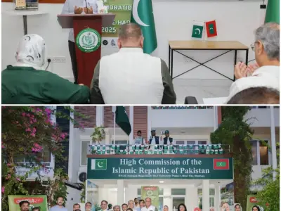 އިންޑިއާގެ މައްޗަށް ޕާކިސްތާނުން ކުރި ހޯދި ހަނގުރާމައަށް 01 އަހަރު ފުރުން ރާއްޖޭގައި ފާހަގަކޮށްފި
