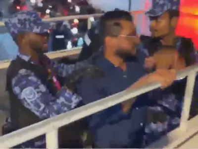 ޕީއެންއެފްގެ މީޑިޔާ ކޯޑިނޭޓަރ ހައްޔަރުކޮށްފި