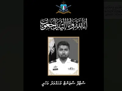 ފަތުރުވެރިން ހޯދަން ޑައިވްކުރި ސިފައިންގެ ޑައިވަރު ޑިކޯވެގެން ނިޔާވެއްޖެ